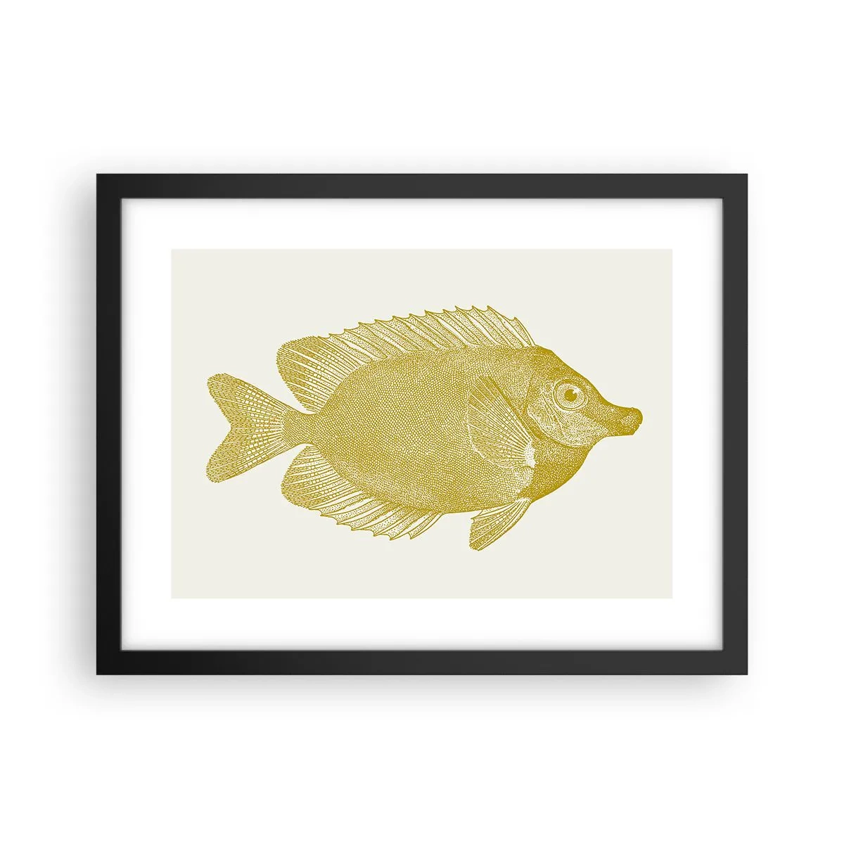Poster in cornice nera - Pesce e basta - 40x30 cm
