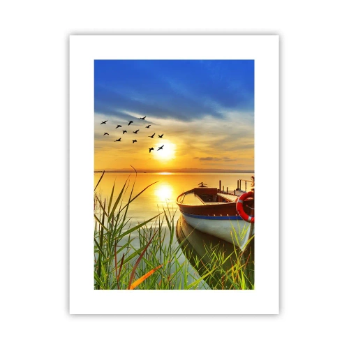 Poster - I cormorano volano già via - 30x40 cm