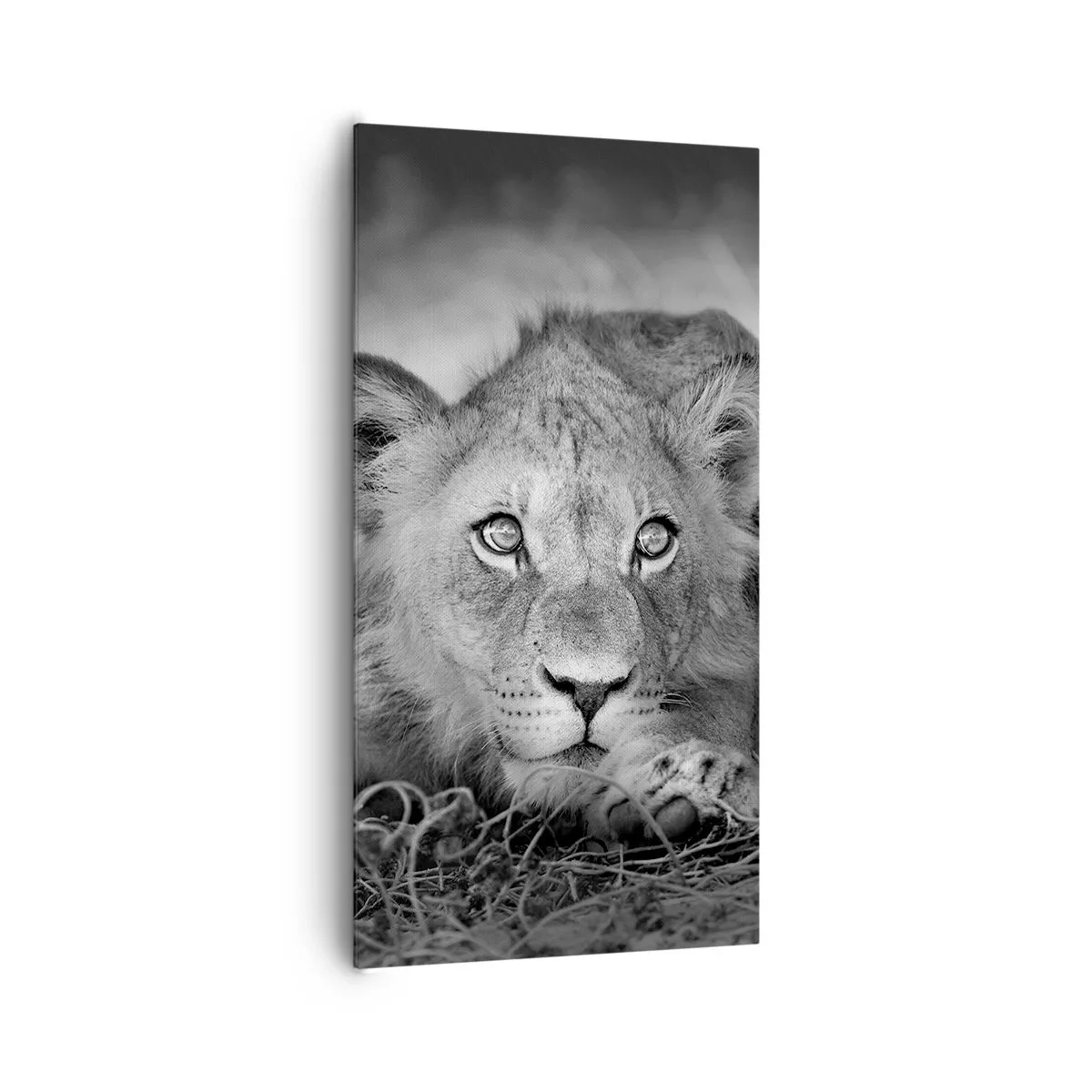 Quadro su tela - Stampe su Tela - Cucciolo reale - 65x120 cm