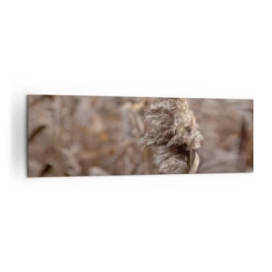 Quadro su tela - Stampe su Tela - Delicate erbe nelle tonalità del beige sullo sfondo della natura - 160x50cm - è tempo di volare col vento - Decorazione murale moderna per soggiorno e camera da letto ARTTOR