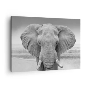 Quadro su tela - Stampe su Tela - Ritratto di un elefante in bianco e nero - 70x50cm - Benvenuti nel mio mondo - Decorazione murale moderna per soggiorno e camera da letto ARTTOR