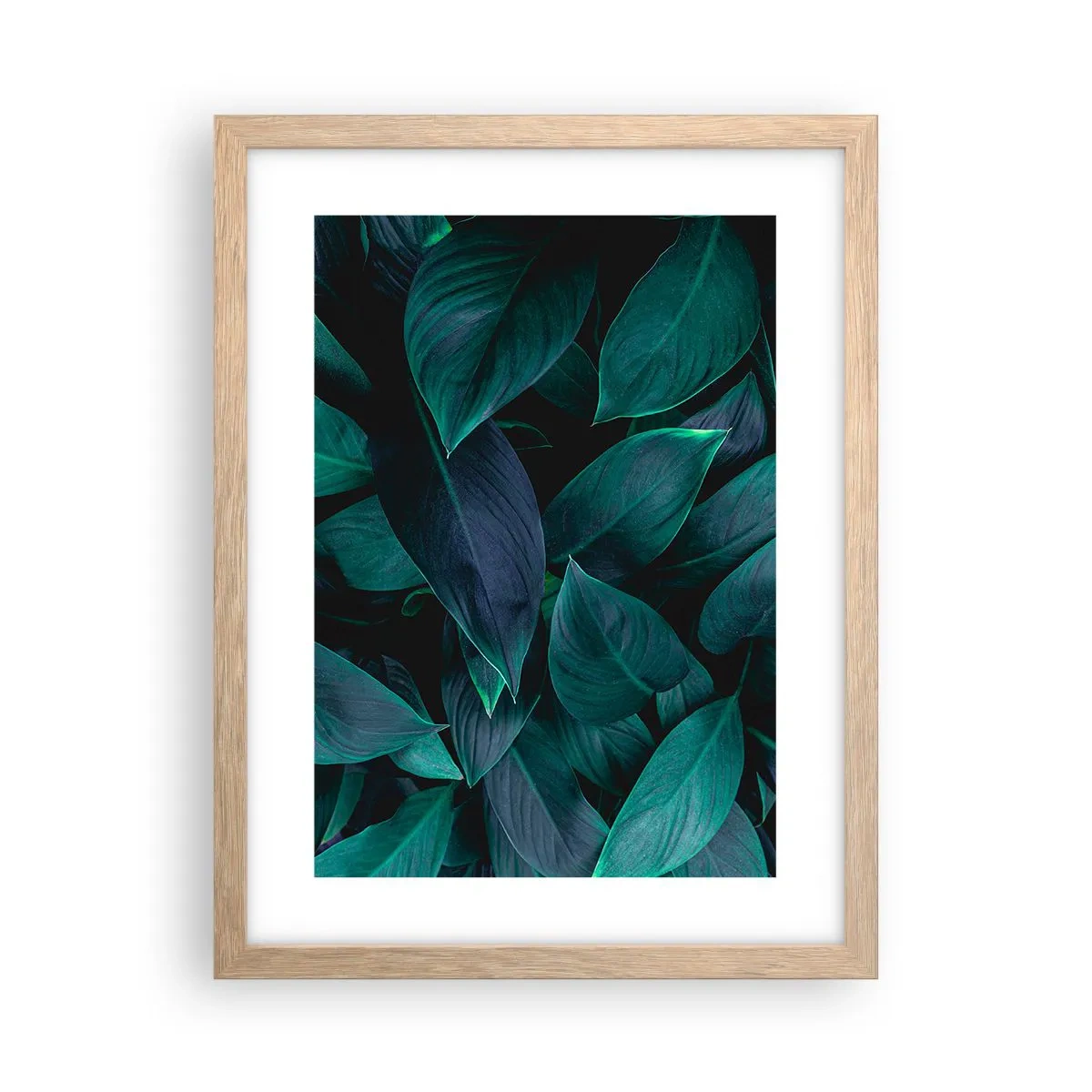 Poster in cornice rovere chiaro - Il verde puro - 30x40 cm