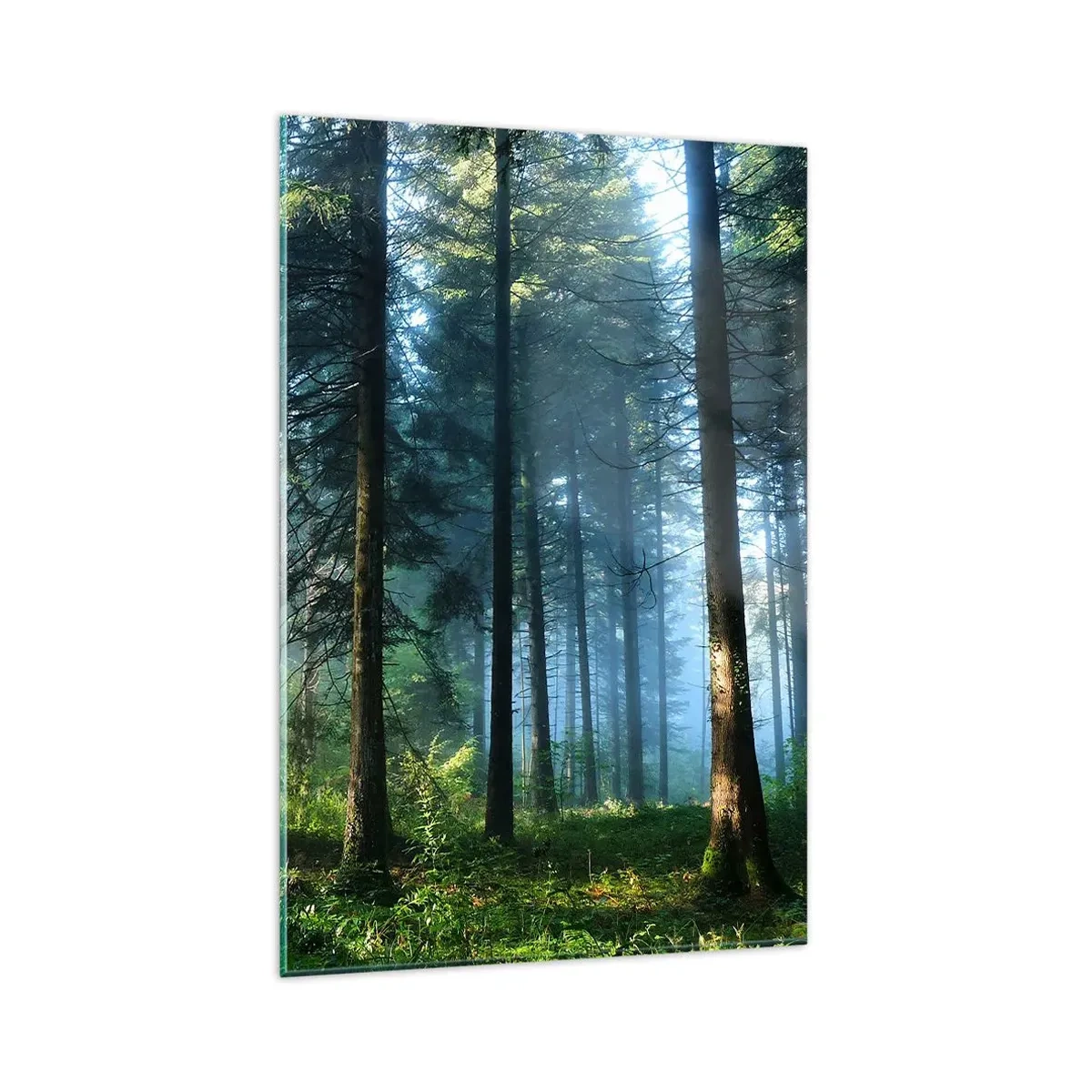Quadro su vetro - Un sentiero nel bosco illuminato dai raggi del sole mattutino - 80x120cm - Raggiante all'alba - Decorazione murale moderna per soggiorno e camera da letto ARTTOR