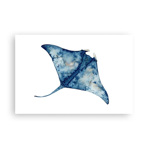 Poster - Vita nel blu - 91x61 cm