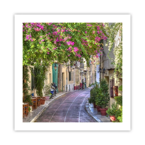 Poster - Angolo fiorito - 50x50 cm