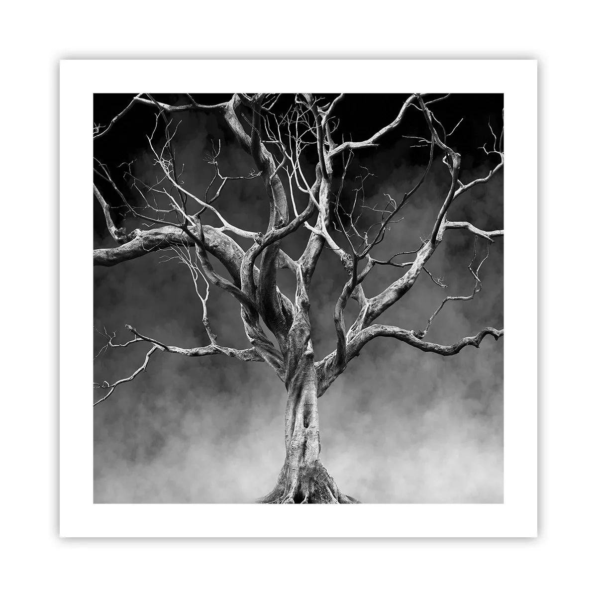 Poster - Primordiale e sacro - 50x50 cm