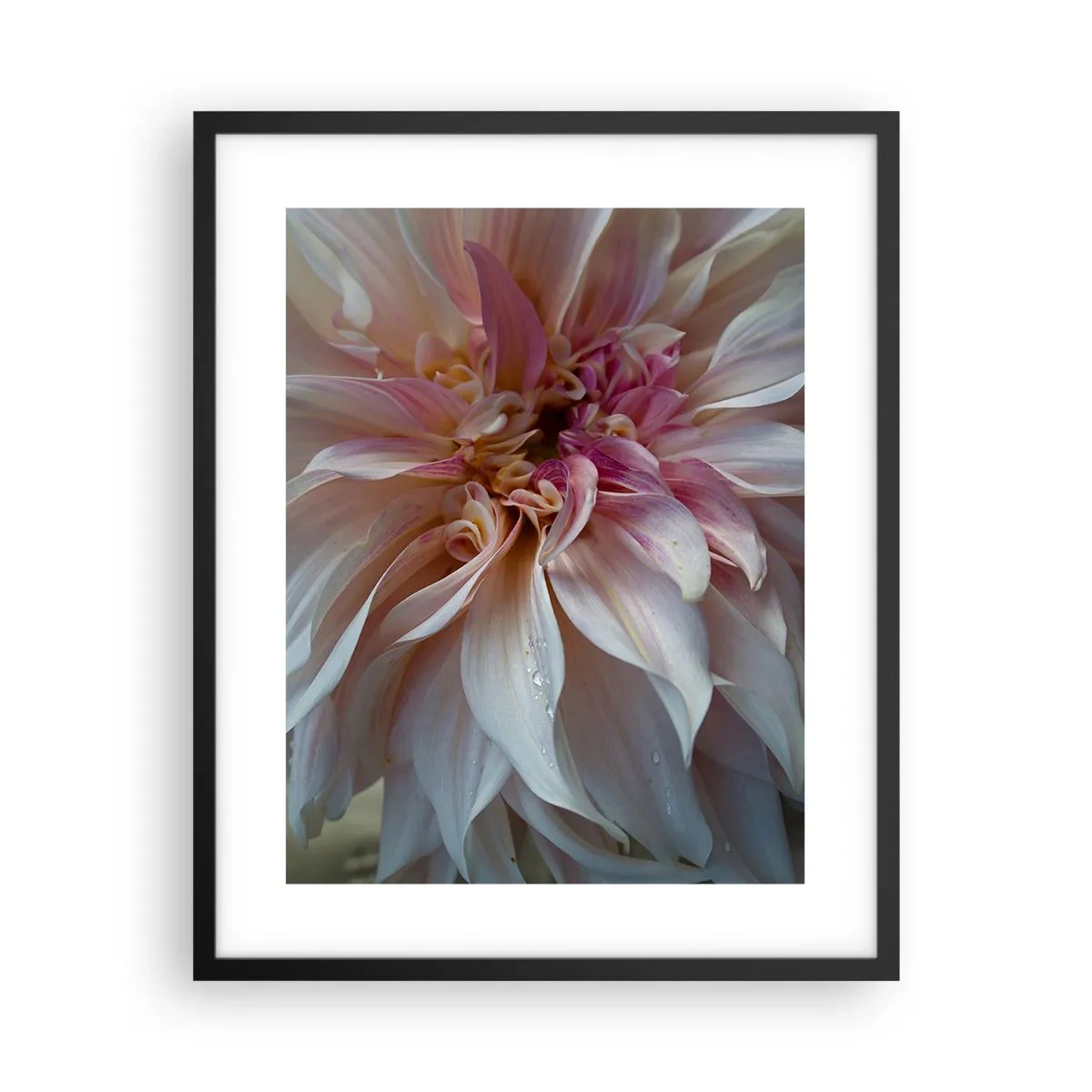 Poster in cornice nera - Freschezza in fiore - 40x50 cm