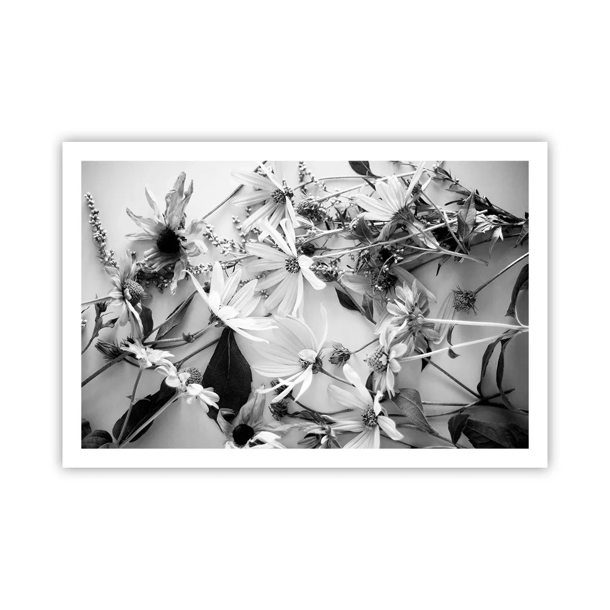 Poster - Un non bouquet di fiori - 91x61 cm