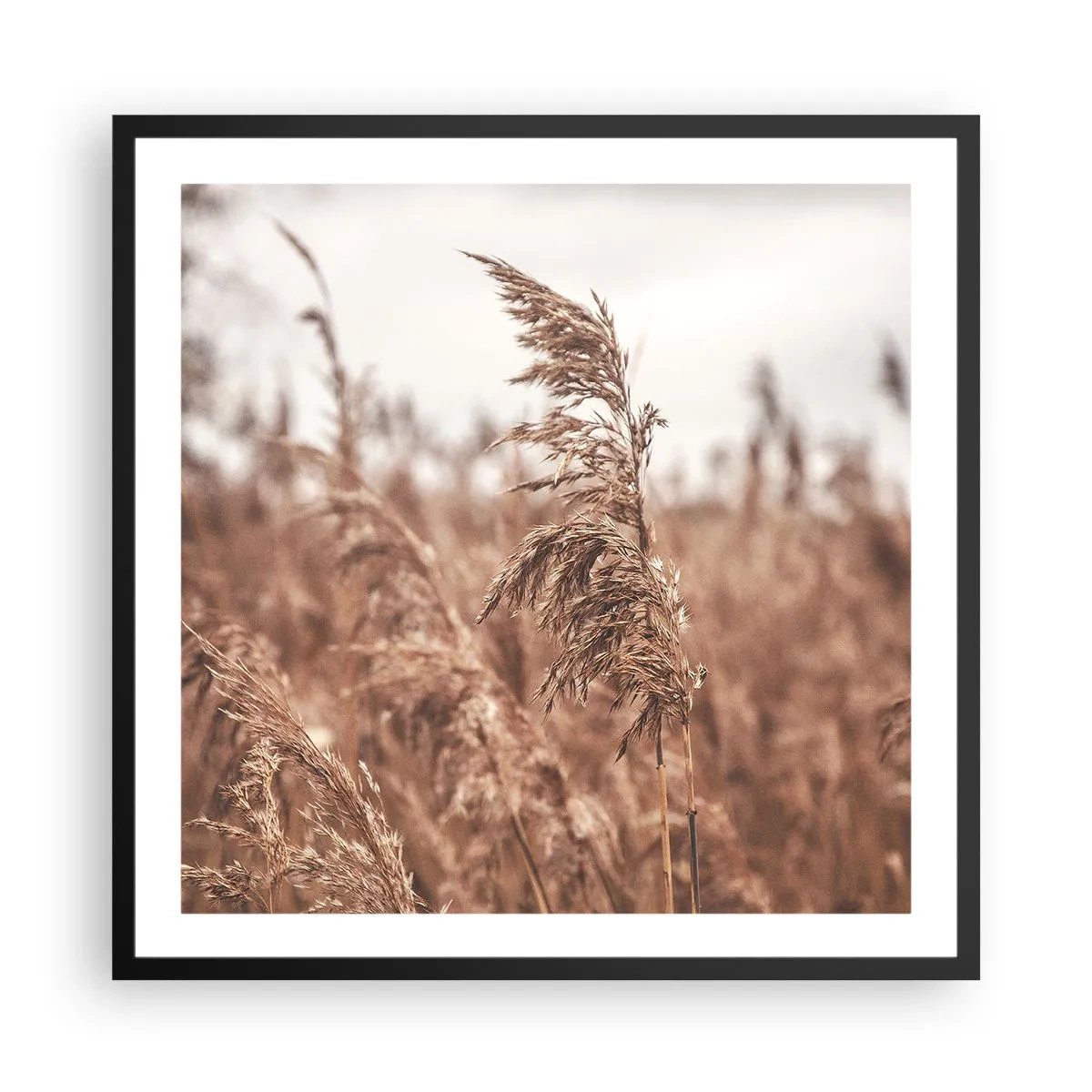 Poster in cornice nera - Nei campi è già autunno - 60x60 cm