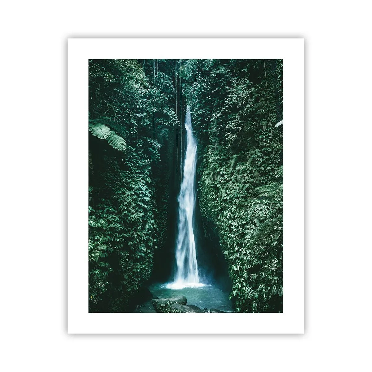 Poster - Terme tropicali - 40x50 cm