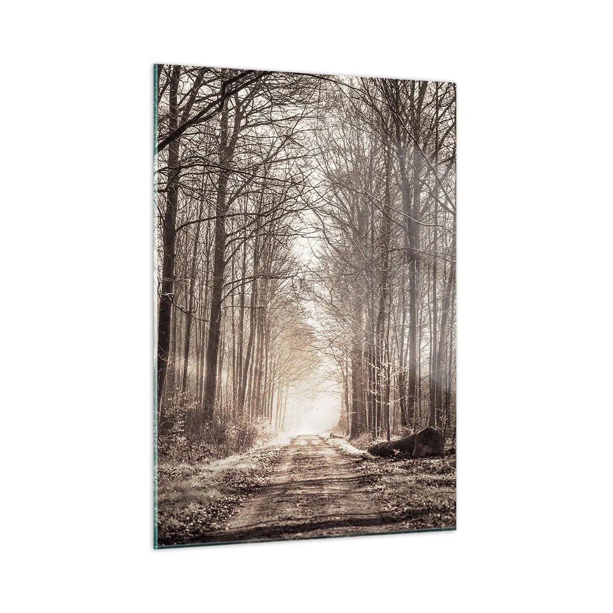 Quadro su vetro - Strada forestale nella nebbia mattutina - 50x70cm - La cattedrale del bosco - Decorazione murale moderna per soggiorno e camera da letto ARTTOR