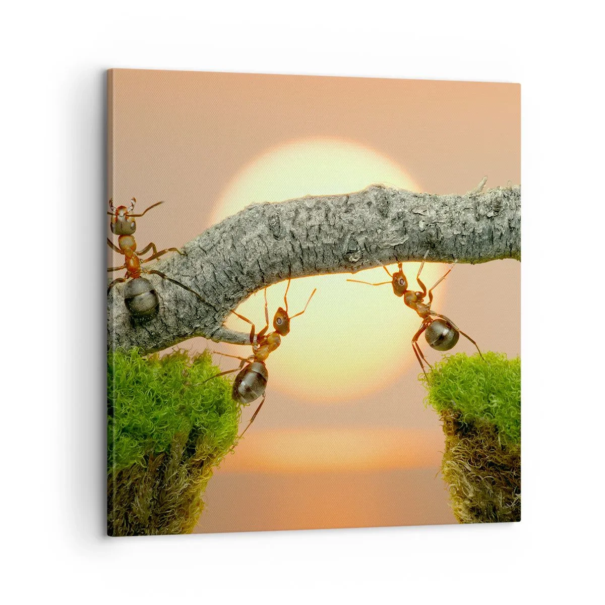 Quadro su tela - Stampe su Tela - Gioioso lavoro comune - 60x60 cm