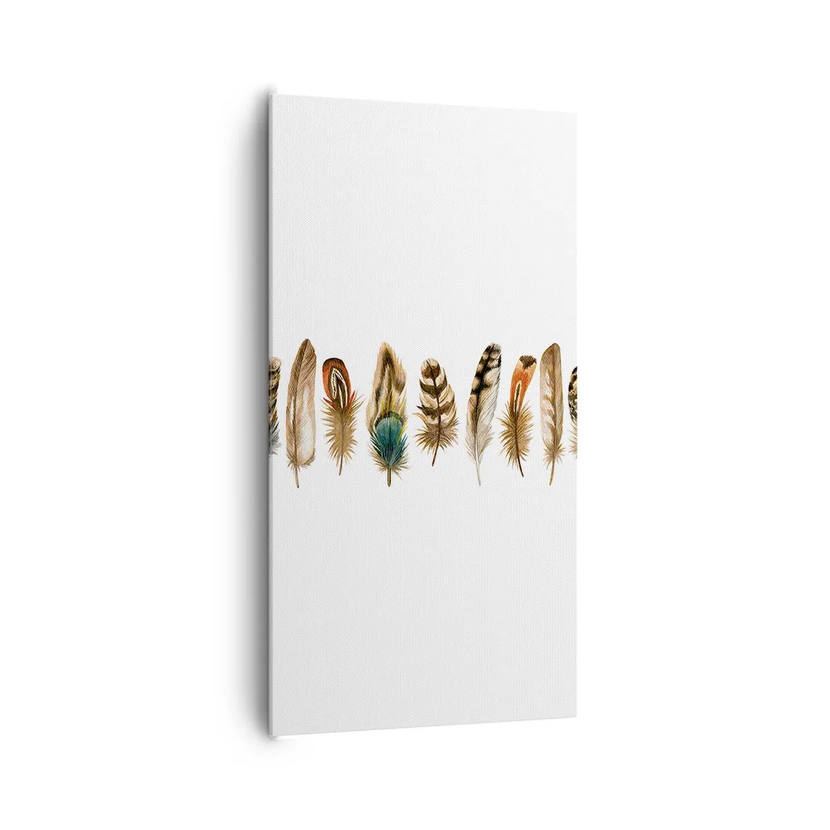 Quadro su tela - Stampe su Tela - Composizione di piume - 65x120 cm