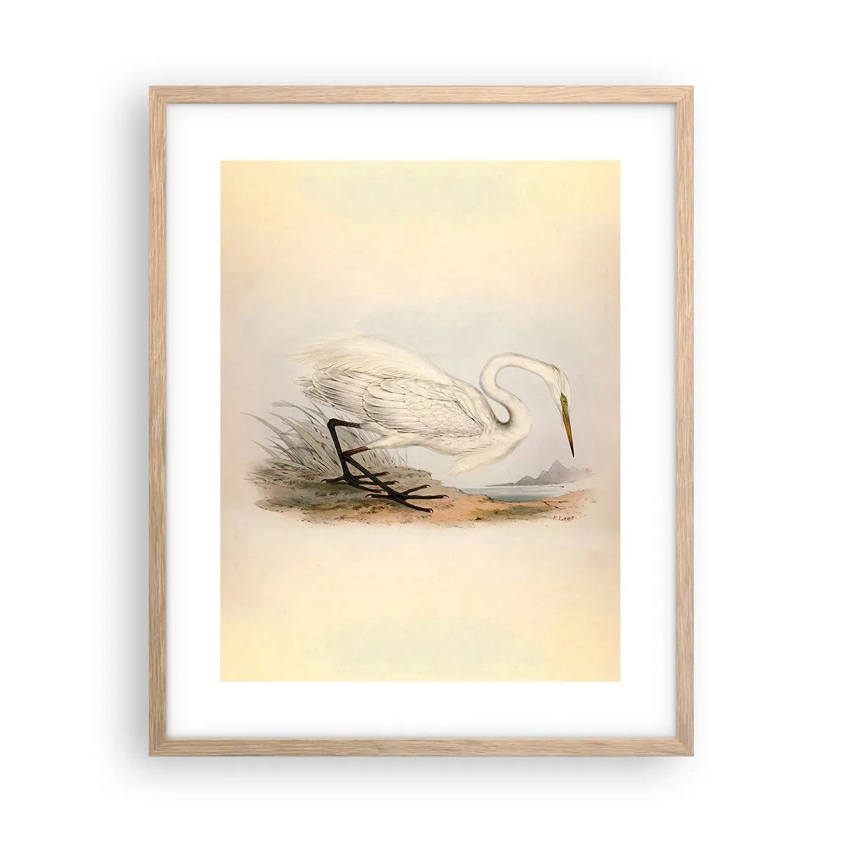 Poster in cornice rovere chiaro - La signora nel canneto - 40x50 cm