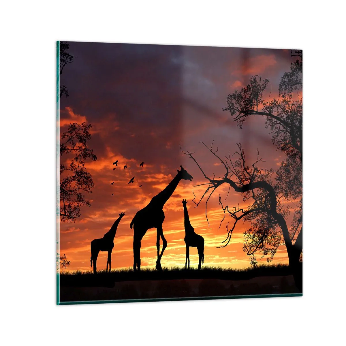 Quadro su vetro - Piccola cena tra amici - 70x70 cm