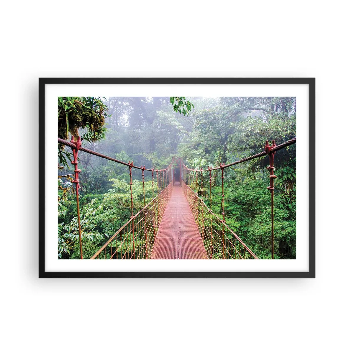 Poster in cornice nera - Un ponte sospeso in una giungla tropicale circondato dalla nebbia - 70x50cm - Sospeso sopra gli alberi - Decorazione murale moderna per soggiorno e camera da letto ARTTOR