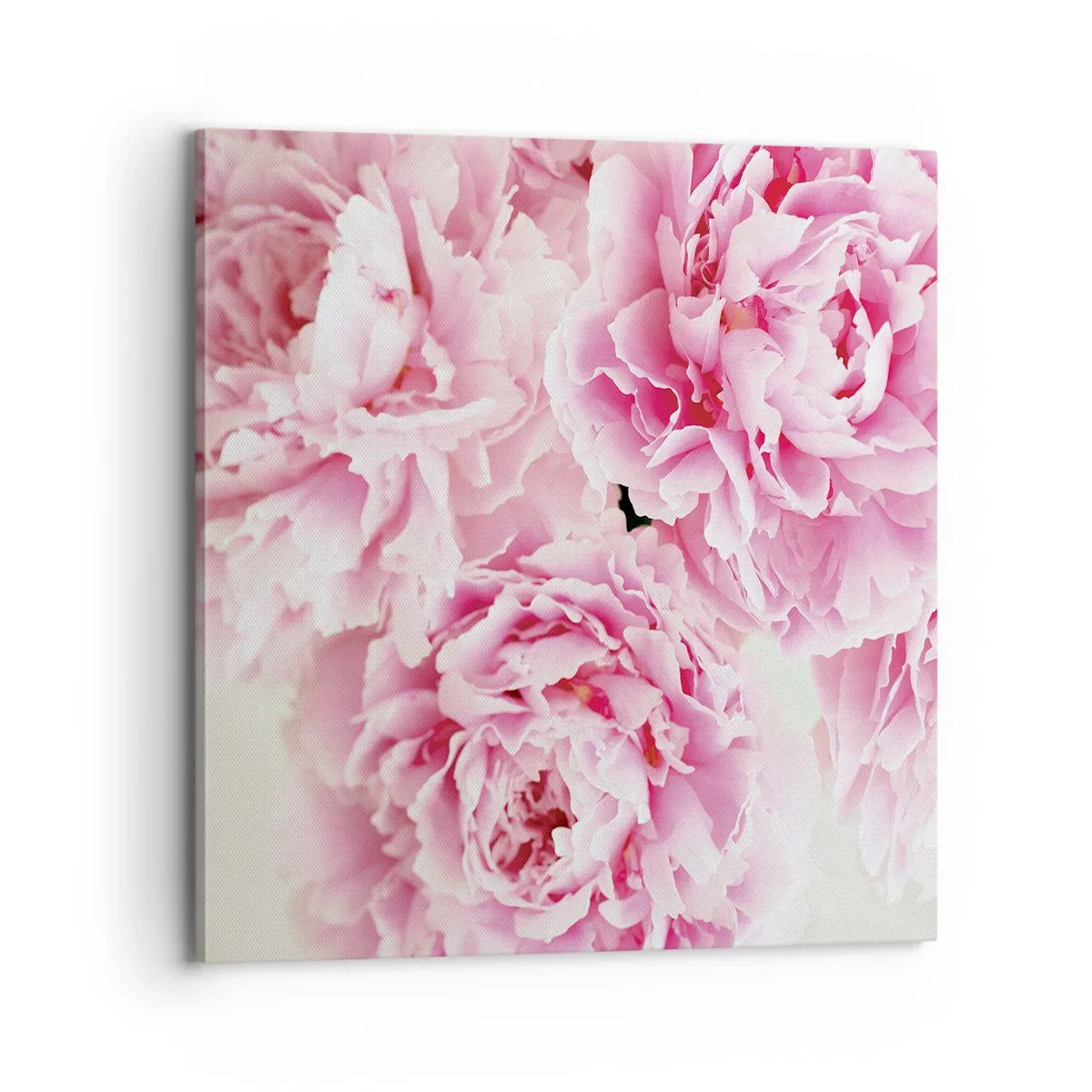 Quadro su tela - Stampe su Tela - Nel fasto rosa - 70x70 cm