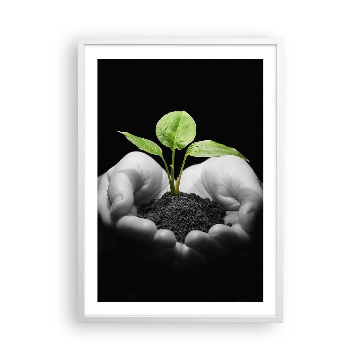 Poster in cornice bianca - Amo la natura, la proteggo - 50x70 cm