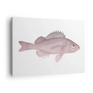 Quadro su tela - Stampe su Tela - Illustrazione dettagliata di un pesce su sfondo bianco - 70x50cm - Il pesce dagli occhi enormi - Decorazione murale moderna per soggiorno e camera da letto ARTTOR