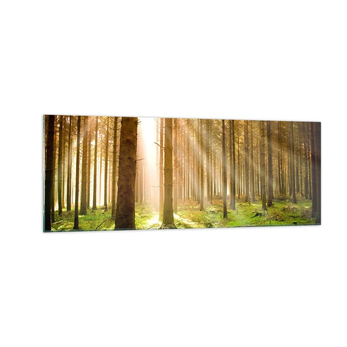 Quadro su vetro - Foresta di conifere con raggi di sole che brillano attraverso gli alberi - 140x50cm - Adesso appaiono gli elfi - Decorazione murale moderna per soggiorno e camera da letto ARTTOR