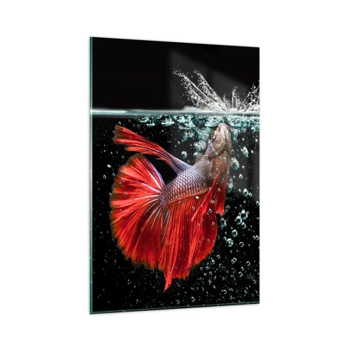 Quadro su vetro - Un magnifico betta nell'acqua su uno sfondo scuro - 80x120cm - Hai tre desideri - Decorazione murale moderna per soggiorno e camera da letto ARTTOR