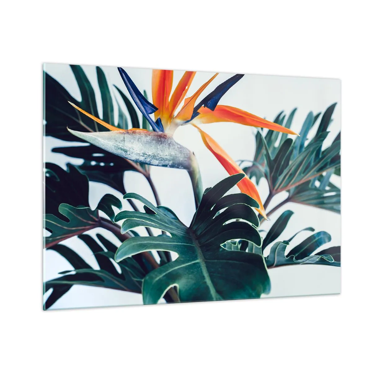 Quadro su vetro - Pianta esotica con fiore di uccello del paradiso - 100x70cm - Pianta uccello - Decorazione murale moderna per soggiorno e camera da letto ARTTOR