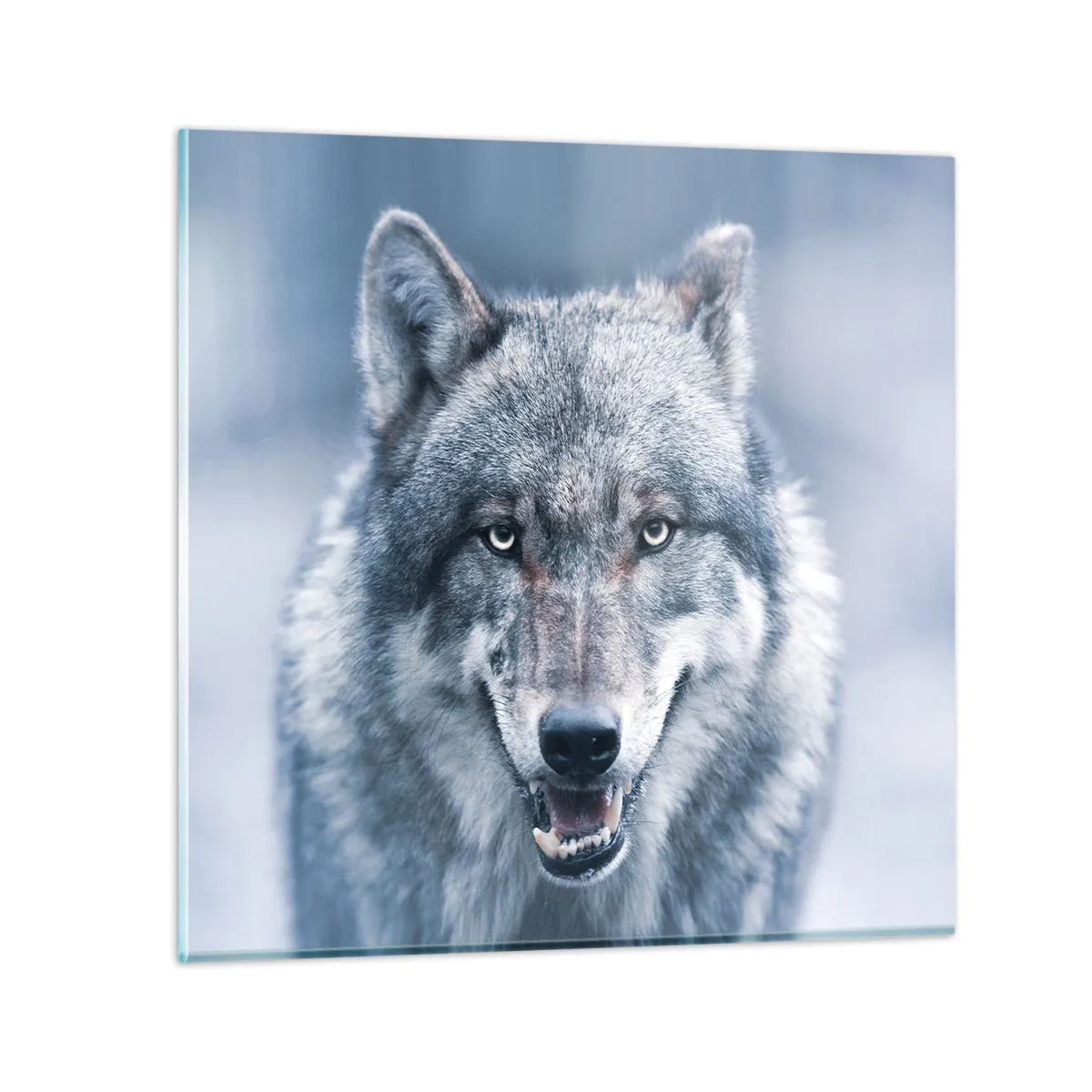 Quadro su vetro - Accetti la sfida? - 30x30 cm