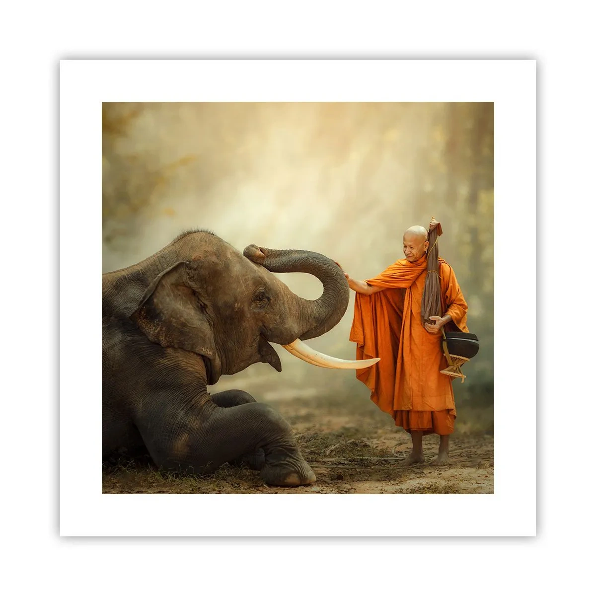 Poster - Incontro nel viaggio - 40x40 cm