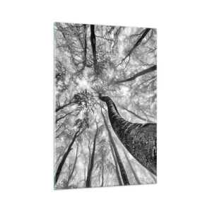 Quadro su vetro - Prospettiva degli alberi in una foresta visti dal basso in tonalità di grigio - 70x100cm - La corsa verso la luce - Decorazione murale moderna per soggiorno e camera da letto ARTTOR