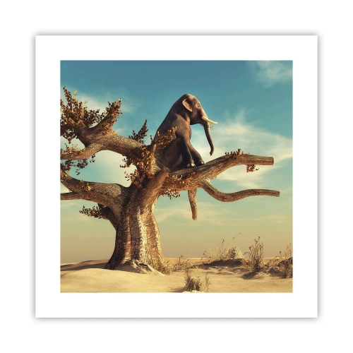 Poster - Nuovo punto di vista - 40x40 cm