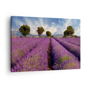 Quadro su tela - Stampe su Tela - Un campo di lavanda con alberi sullo sfondo di montagne e cielo - 70x50cm - Campi di lavanda - Decorazione murale moderna per soggiorno e camera da letto ARTTOR