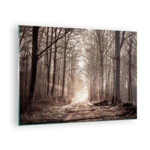 Quadro su vetro - Strada forestale nella nebbia mattutina - 70x50cm - La cattedrale del bosco - Decorazione murale moderna per soggiorno e camera da letto ARTTOR