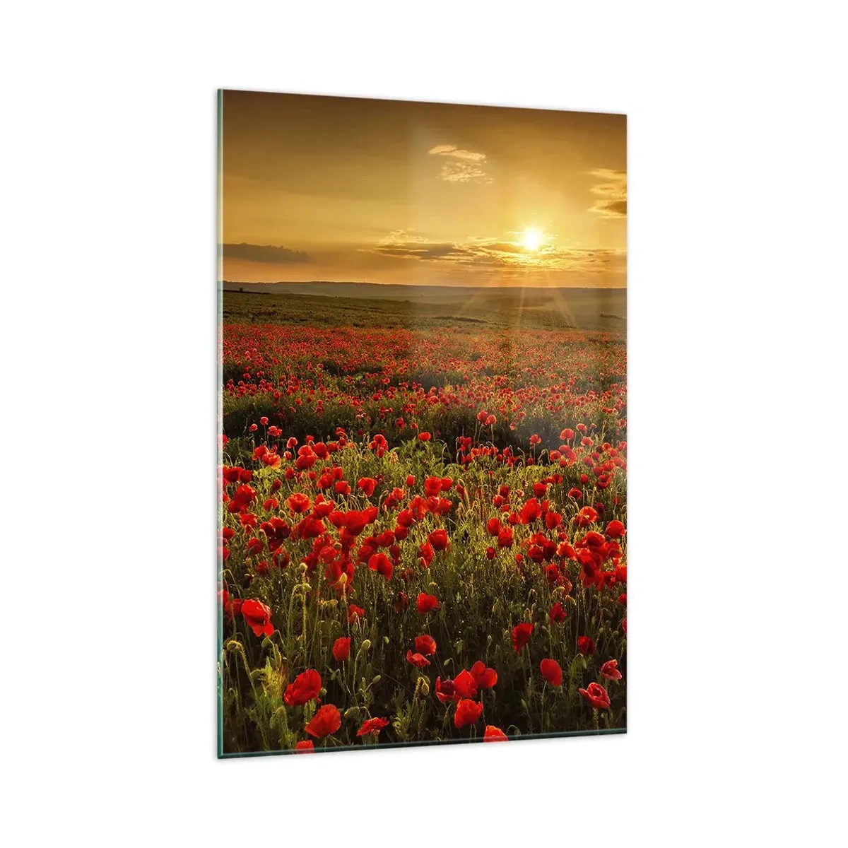 Quadro su vetro - Un campo di papaveri rossi al chiarore del sole al tramonto - 80x120cm - Tra il fruscio delle erbe, in un'esplosione di fiori - Decorazione murale moderna per soggiorno e camera da letto ARTTOR
