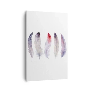 Quadro su tela - Stampe su Tela - Cinque delicate piume in tonalità pastello su uno sfondo chiaro - 80x120cm - Delicate come una nebbia multicolore - Decorazione murale moderna per soggiorno e camera da letto ARTTOR