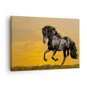 Quadro su tela - Stampe su Tela - Un cavallo nero galoppa sullo sfondo di un tramonto dorato. - 70x50cm - Bello, libero e selvaggio - Decorazione murale moderna per soggiorno e camera da letto ARTTOR
