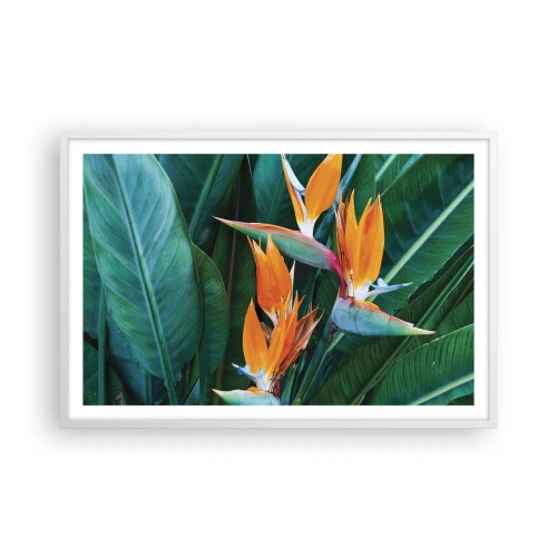 Poster in cornice bianca - È un fiore o un uccello? - 91x61 cm