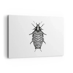 Quadro su tela - Stampe su Tela - Grafica di un insetto bianco e nero su sfondo bianco - 100x70cm - Che esemplare! - Decorazione murale moderna per soggiorno e camera da letto ARTTOR