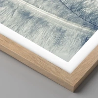 Rovere chiaro