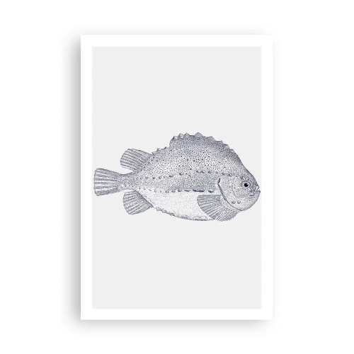 Poster - Nell'album del naturalista - 61x91 cm