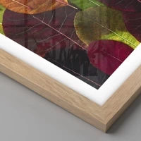 Rovere chiaro