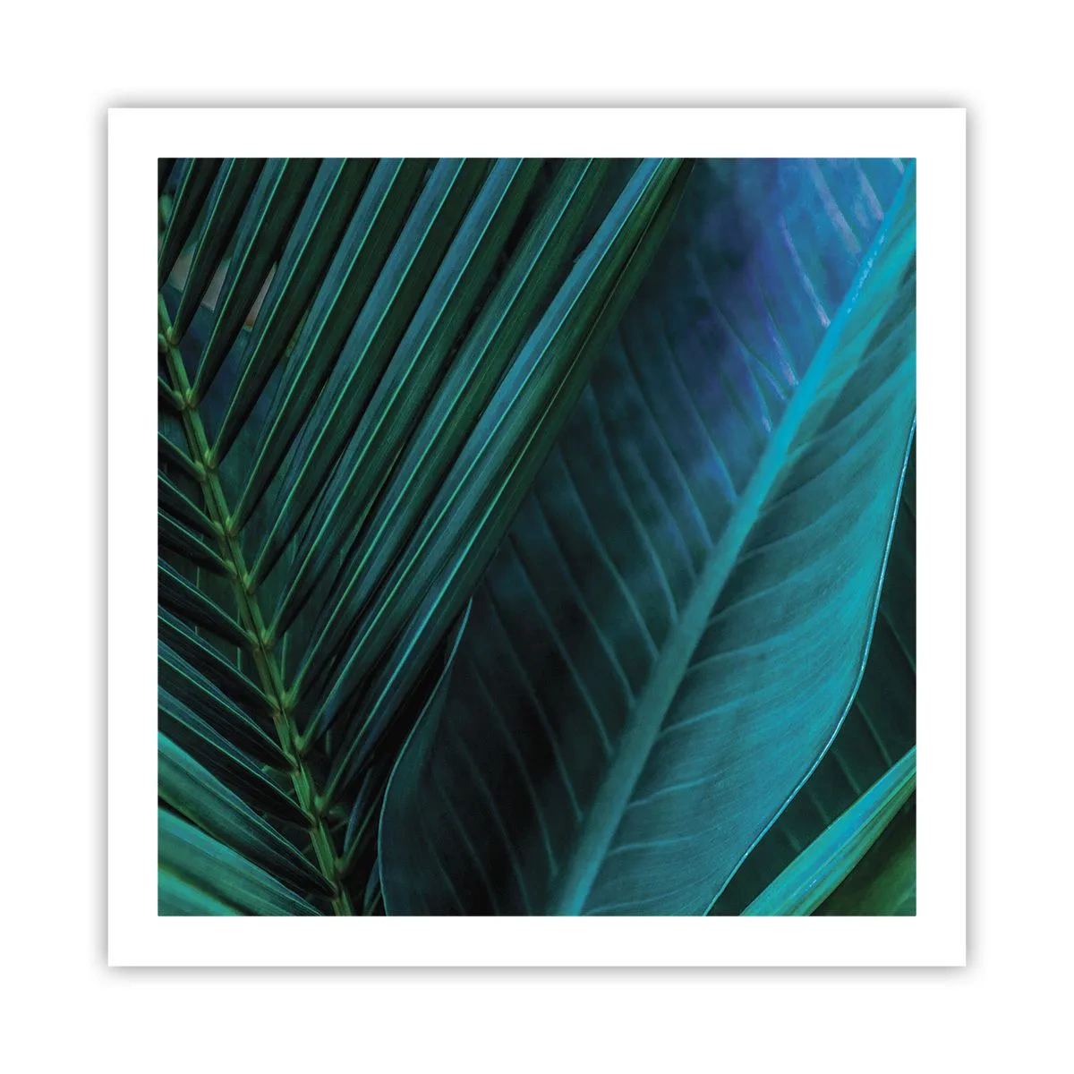 Poster - Anatomia del verde - 60x60 cm