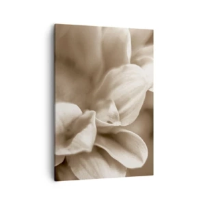 Quadro su tela - Stampe su Tela - Primo piano di fiori in una delicata tonalità seppia con contorni morbidi - 50x70cm - Mite come un sorriso - Decorazione murale moderna per soggiorno e camera da letto ARTTOR