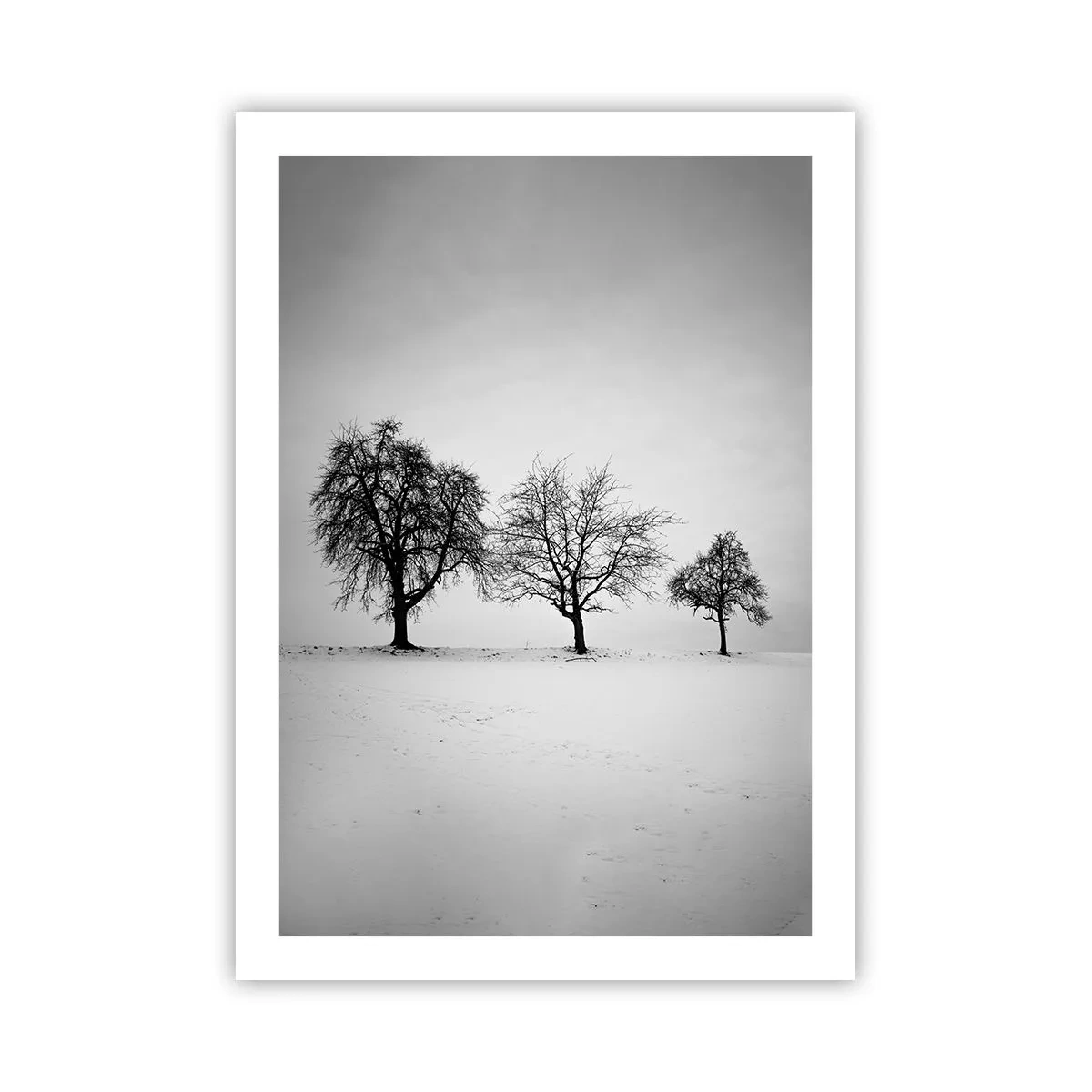 Poster - Tre alberi in un campo innevato in bianco e nero - 50x70cm - Cosa sognano? - Decorazione murale moderna per soggiorno e camera da letto ARTTOR