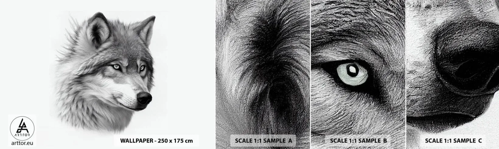 Campione Di Fotomurale Standard Eco - Alfa, senza dubbio - Lupo, Animale, scandinavo - 100x30 cm