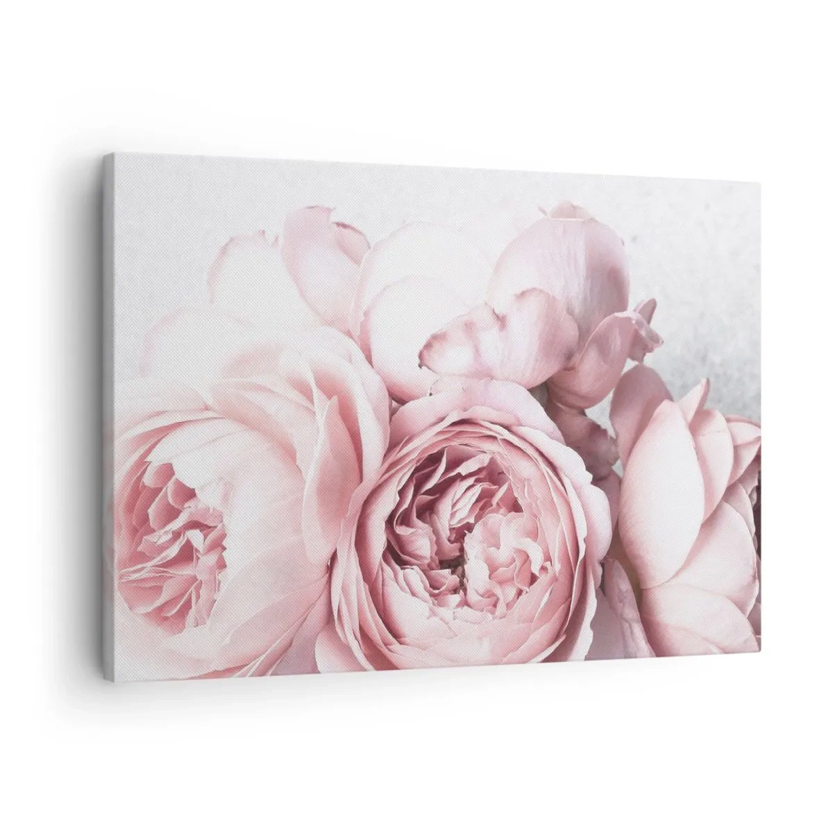 Quadro su tela - Stampe su Tela - Peonie rosa in luce soffusa su uno sfondo chiaro - 70x50cm - Per i romantici - Decorazione murale moderna per soggiorno e camera da letto ARTTOR