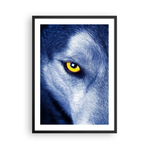Poster in cornice nera - Primo piano dell'occhio giallo di un lupo in una tonalità blu - 50x70cm - Sguardo ipnotico - Decorazione murale moderna per soggiorno e camera da letto ARTTOR