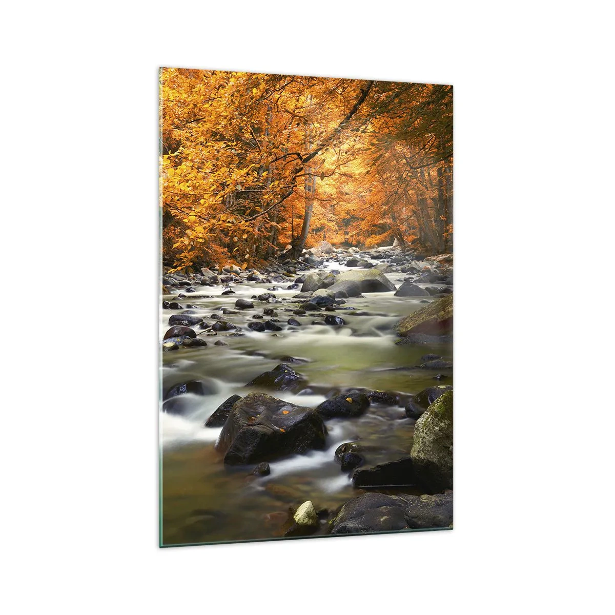 Quadro su vetro - Un ruscello in una foresta autunnale circondato da foglie dorate - 70x100cm - Ruscello nel bosco dorato - Decorazione murale moderna per soggiorno e camera da letto ARTTOR
