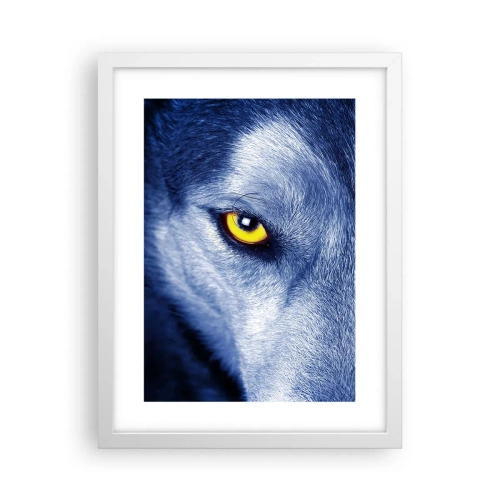 Poster in cornice bianca - Sguardo ipnotico - 30x40 cm