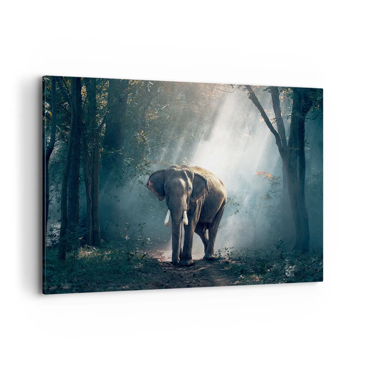 Quadro su tela - Stampe su Tela - Elefante nella luce della foresta - 120x80cm - Tranquilla passeggiata - Decorazione murale moderna per soggiorno e camera da letto ARTTOR