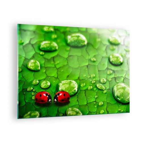 Quadro su vetro - Due coccinelle su una foglia verde con gocce d'acqua - 70x50cm - Incontro in verde - Decorazione murale moderna per soggiorno e camera da letto ARTTOR